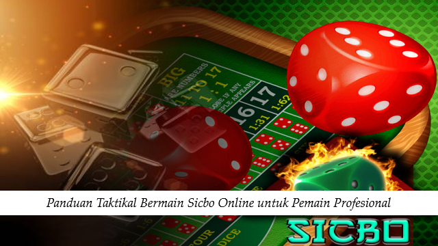 Panduan Taktikal Bermain Sicbo Online untuk Pemain Profesional